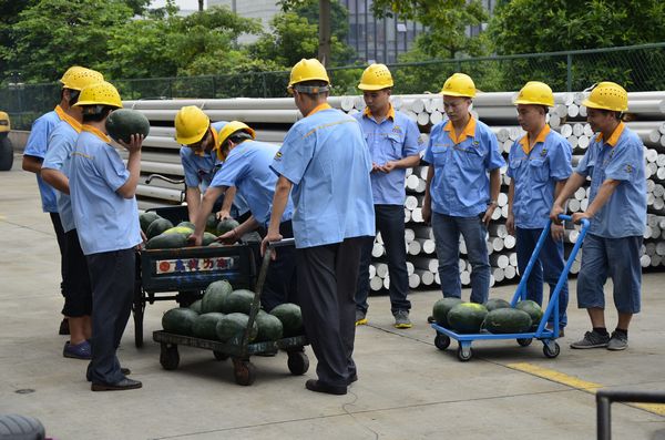 ��ҳ- �Ϲ�NG28�������ֹٷ���վ