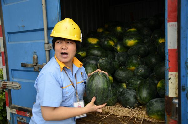 ��ҳ- �Ϲ�NG28�������ֹٷ���վ