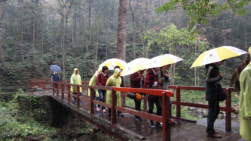 �ڤ��q��´�������u�i�a�ɡA��ĥj���|���