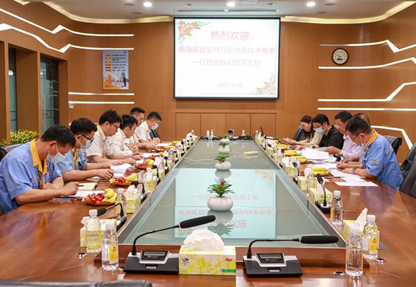 南海区铝型材行业协会技术专家一行光临南宫NG28集团领导工作