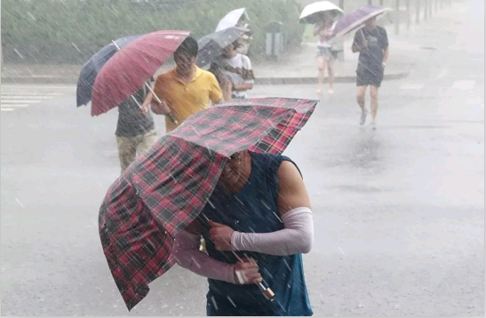 ��ҳ- �Ϲ�NG28�������ֹٷ���վ