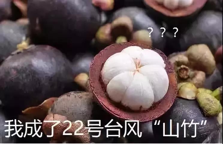 ��ҳ- �Ϲ�NG28�������ֹٷ���վ